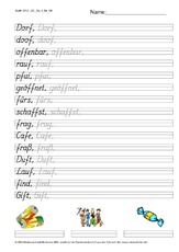 DSS_2S_Bu_f_Nr_06.pdf